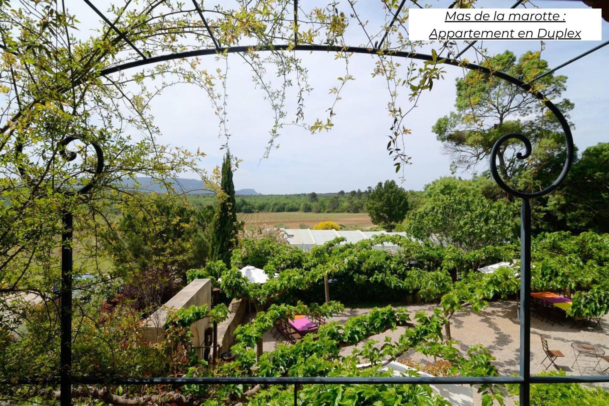 Domaine Les Terres De Saint-Hilaire Διαμέρισμα Ollières Εξωτερικό φωτογραφία